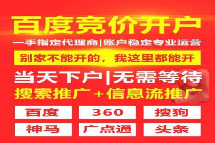 专业SEM托管服务，案例展示精准营销成果